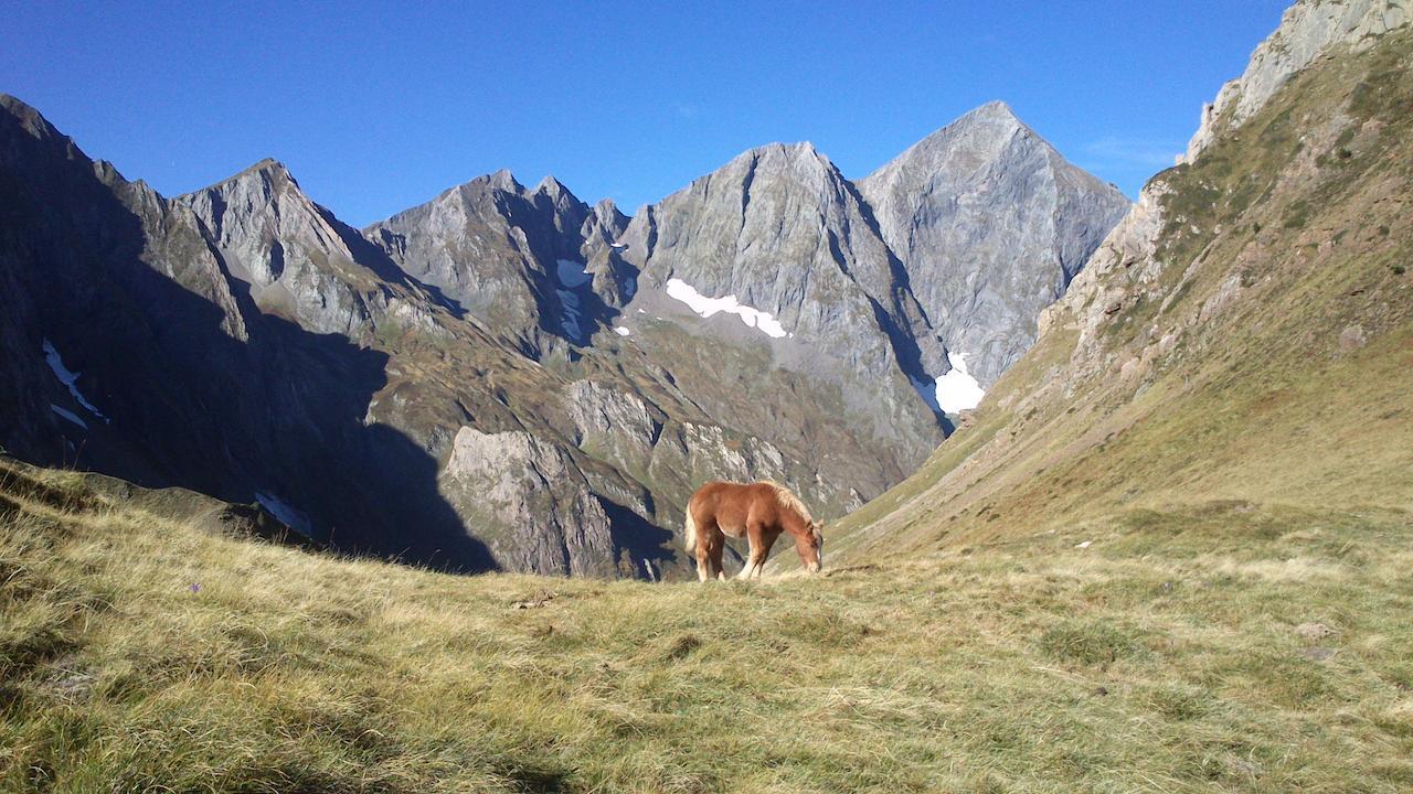 Auberge Les Myrtilles Couflens Dış mekan fotoğraf